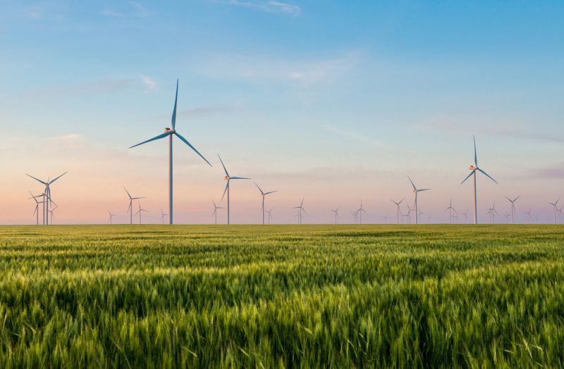 Master's of Energy & Environmental Management Image of Natural Resources Wind Farm