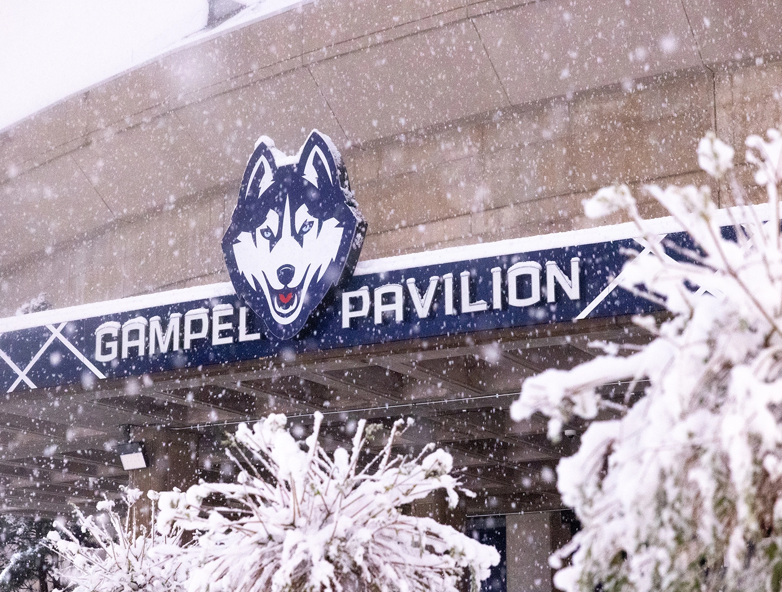 Gampel pavillion in the snow