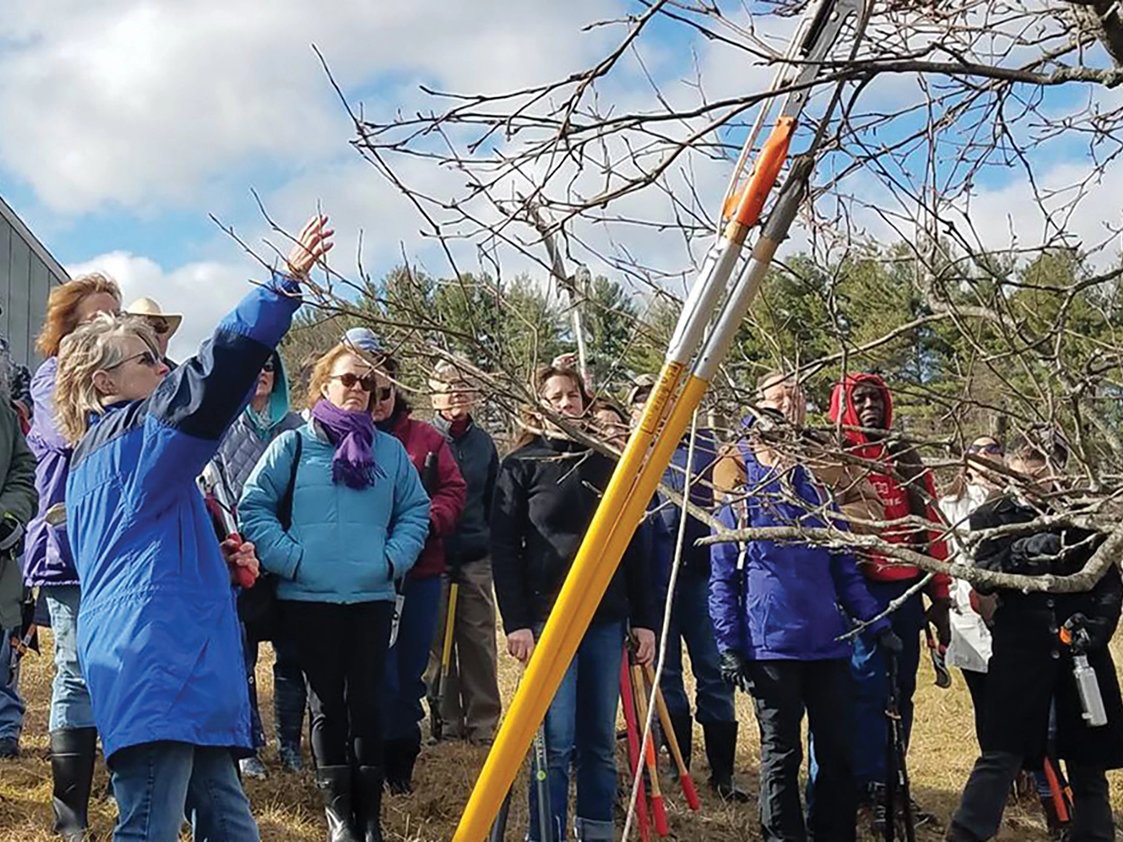 UConn Extension Educator conducting a workshop.